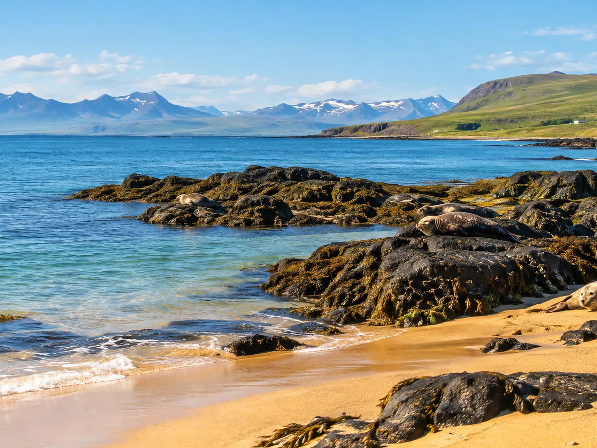 Une côte rocheuse et une mer bleue par une journée ensoleillée